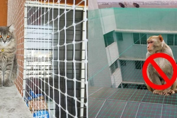 xr:d:DAFv0yRLumE:8,j:1605937697876159618,t:23092911